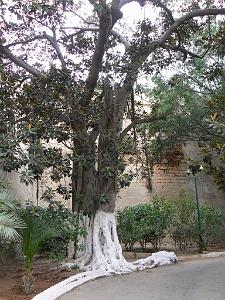 41 promenade de Letang 